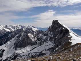 view